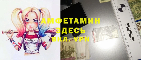 прущие грибы Абинск