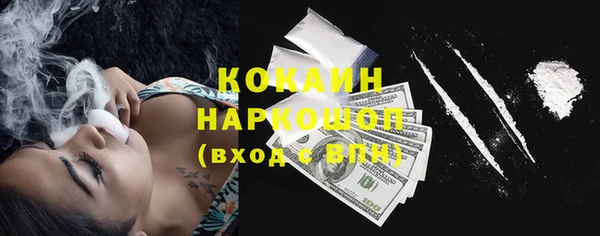 прущие грибы Абинск