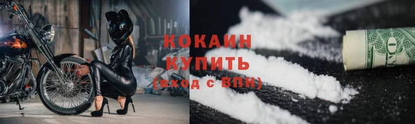 прущие грибы Абинск