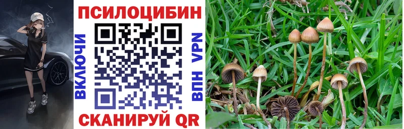 ОМГ ОМГ ссылка  Советский  Псилоцибиновые грибы мицелий  продажа наркотиков 