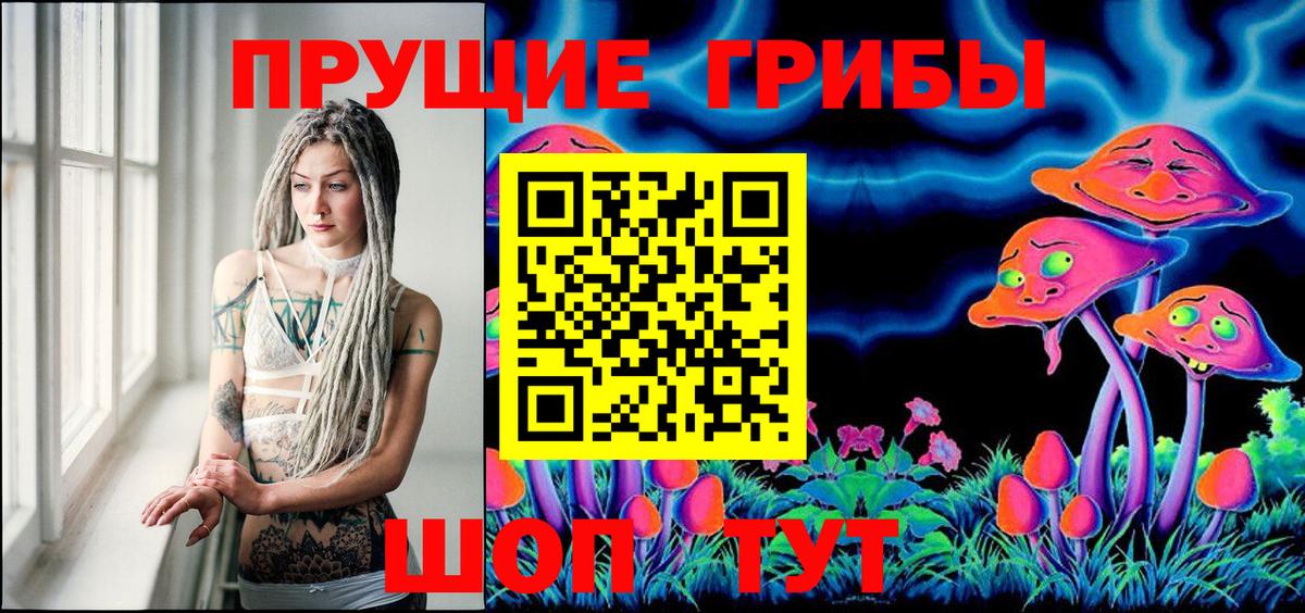Псилоцибиновые грибы Psilocybine cubensis Советский